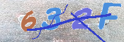 キャプチャ画像